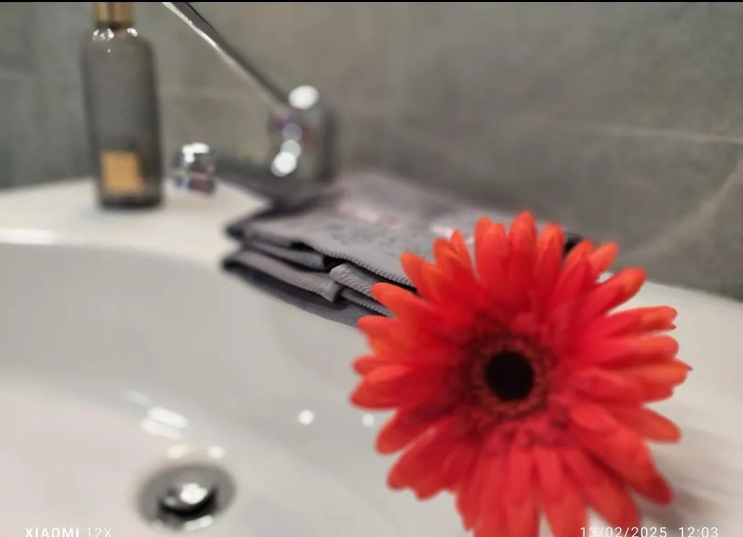 Le Grazie Boutique Apartment Genoa